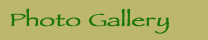 Welcome to our home page